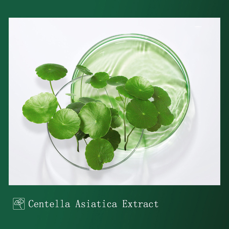 8pcs Centella 머드 마스크 안티-여드름 딥  - Dust Mask Construction 리뷰 및 가격